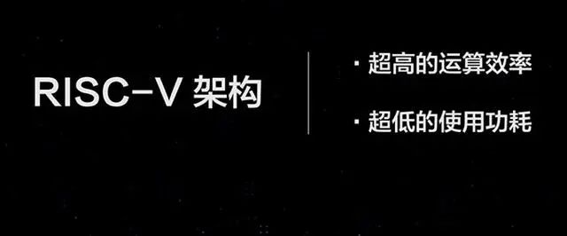 国外芯片技术交流-RISC-V助力，华米押注全产业链模式造芯，布局大健康产业risc-v单片机中文社区(3)