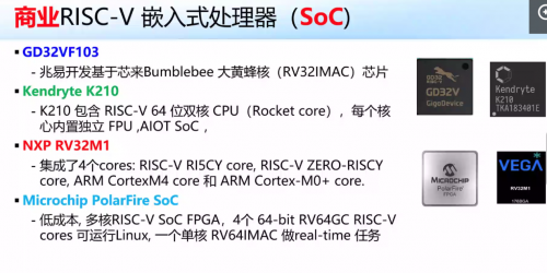 国外芯片技术交流-RISC-V喧嚣的背后risc-v单片机中文社区(6)