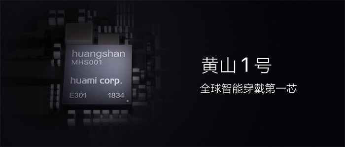 国外芯片技术交流-华米发布黄山1号：首款集成AI的可穿戴处理器,效率比ARM高38%risc-v单片机中文社区(2)