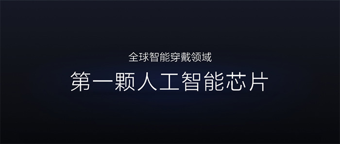 国外芯片技术交流-华米发布黄山1号：首款集成AI的可穿戴处理器,效率比ARM高38%risc-v单片机中文社区(1)
