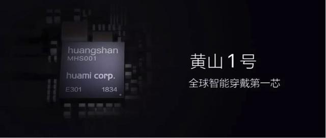 国外芯片技术交流-华米科技推出自研芯片“黄山一号”，学习苹果，逐成生态risc-v单片机中文社区(4)