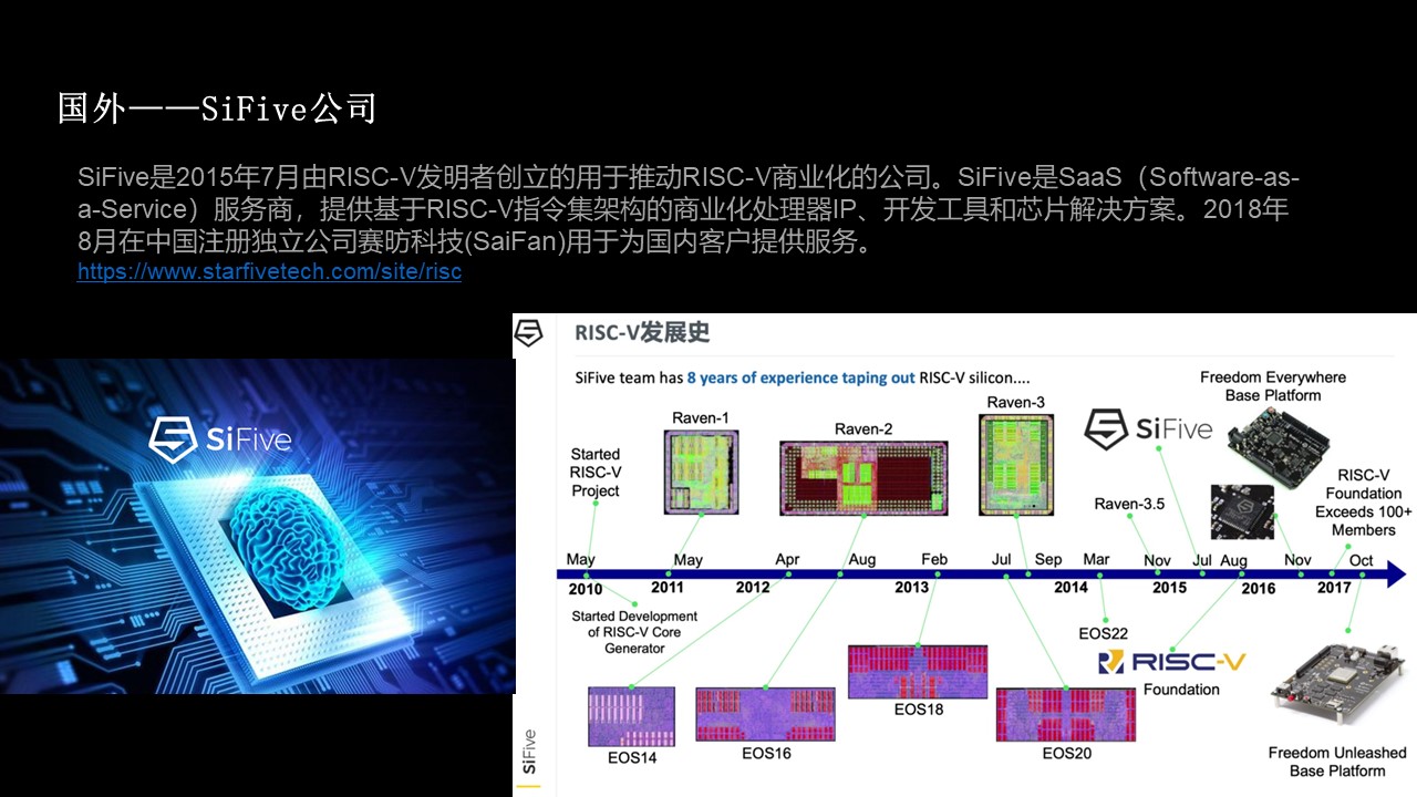 国内芯片技术交流-RISC-V发展现状risc-v单片机中文社区(7)