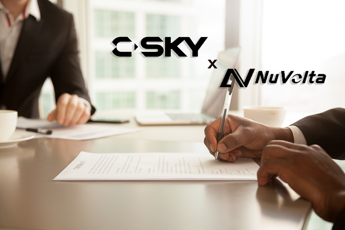 中天微RISC-V CPU.png