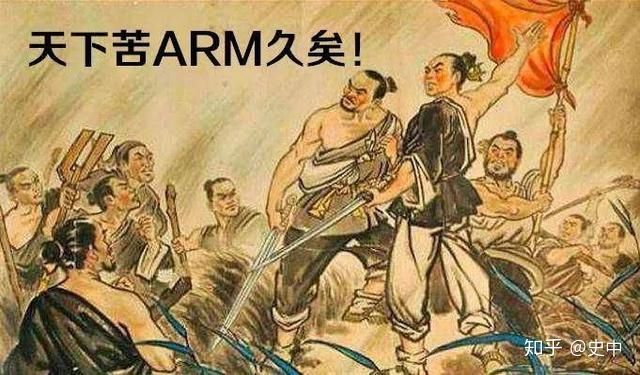 国内芯片技术交流-14亿人的战争：中国人用了30年望见计算力的珠峰risc-v单片机中文社区(19)