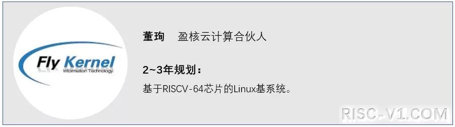 国内芯片技术交流-若能实现“RISC-V+OS”，就不会有IP碎片化问题risc-v单片机中文社区(1)