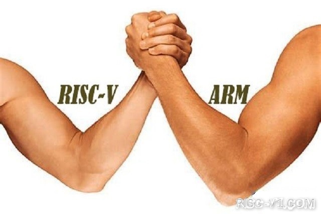 国内芯片技术交流-RISC-V制衡ARM 关键还看物联网risc-v单片机中文社区(1)