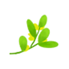 新窗口02.GIF