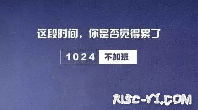 国外芯片技术交流-1024程序员节，向改变世界的程序员致敬risc-v单片机中文社区(8)