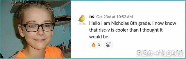 国外芯片技术交流-年仅13岁男孩Nicholas Sharkey就创建了RISC-V核心risc-v单片机中文社区(1)