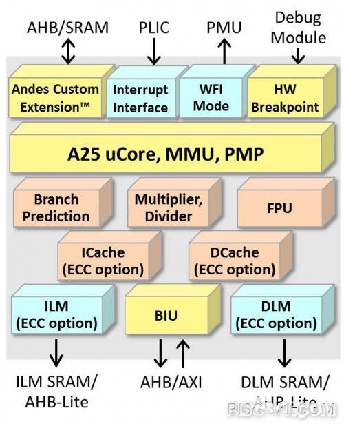 国内芯片技术交流-首个带有“综合”DSP的RISC-V内核支持Linuxrisc-v单片机中文社区(2)