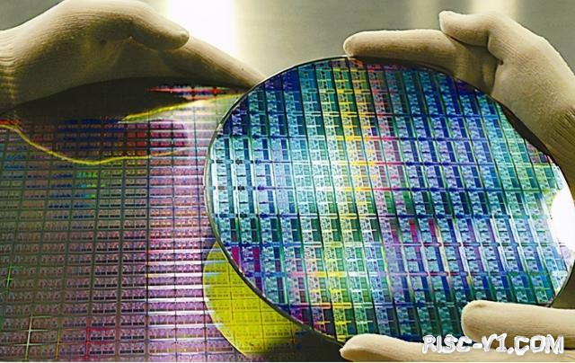 国外芯片技术交流-一家10人的公司，设计出全球最快、最节能RISC-V芯片risc-v单片机中文社区(3)