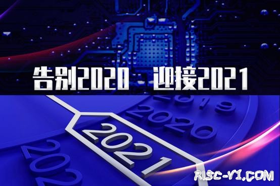 国内芯片技术交流-RISC-V的“熵减”risc-v单片机中文社区(1)