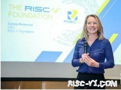 国内芯片技术交流-一文读懂~面向物联网芯片的RISC-V体系架构介绍risc-v单片机中文社区(7)