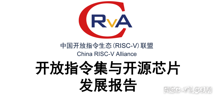 国内芯片技术交流-开放指令集与开源芯片发展报告（RISC-V和MPIS）risc-v单片机中文社区(1)