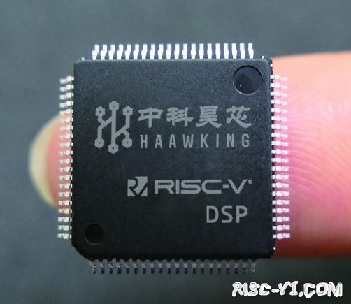 国外芯片技术交流-全球首款国产RISC-V DSP芯片本月底即将量产risc-v单片机中文社区(2)
