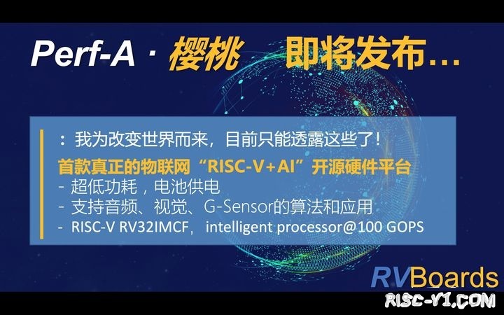 国外芯片技术交流-RISC-V能后发制人？risc-v单片机中文社区(3)