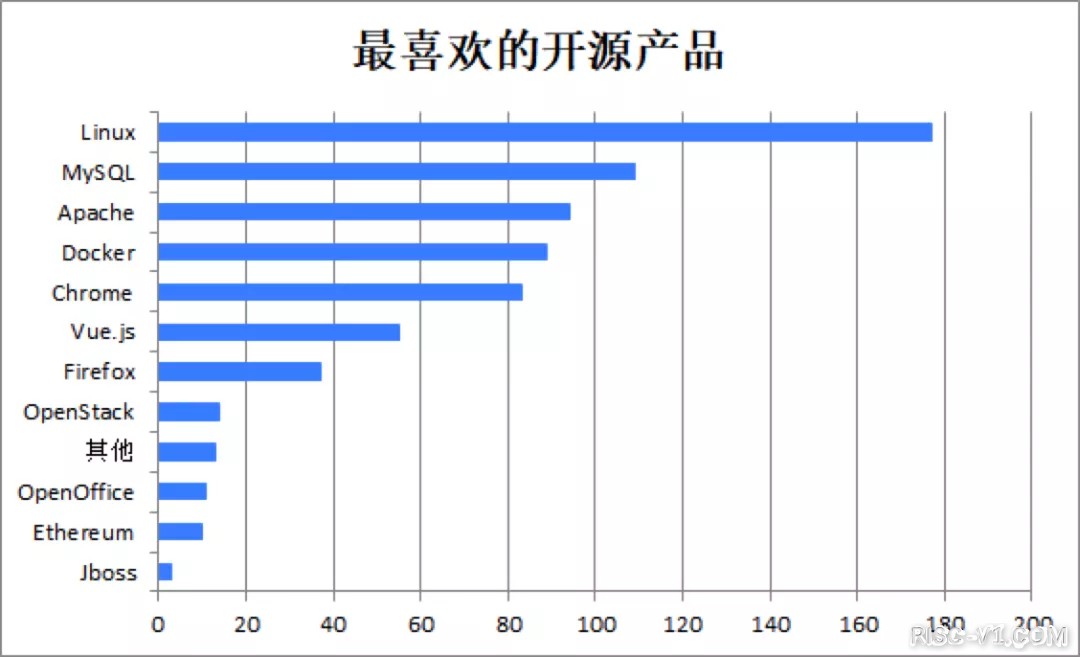 国外芯片技术交流-2020中国开源年度报告（一）risc-v单片机中文社区(14)