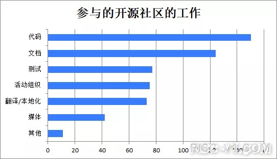 国外芯片技术交流-2020中国开源年度报告（一）risc-v单片机中文社区(15)