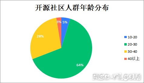 国外芯片技术交流-2020中国开源年度报告（一）risc-v单片机中文社区(19)