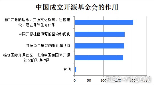 国外芯片技术交流-2020中国开源年度报告（一）risc-v单片机中文社区(21)