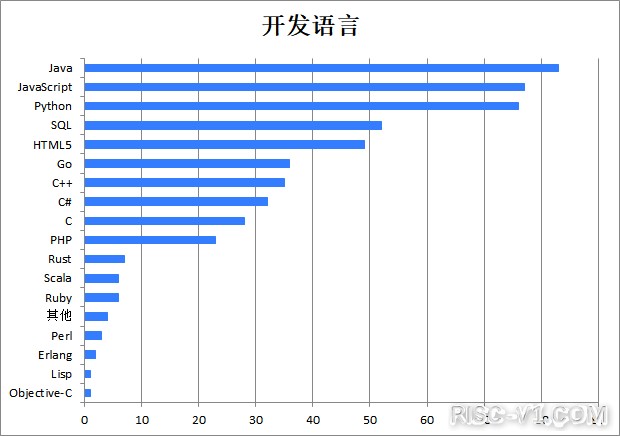 国外芯片技术交流-2020中国开源年度报告（一）risc-v单片机中文社区(22)