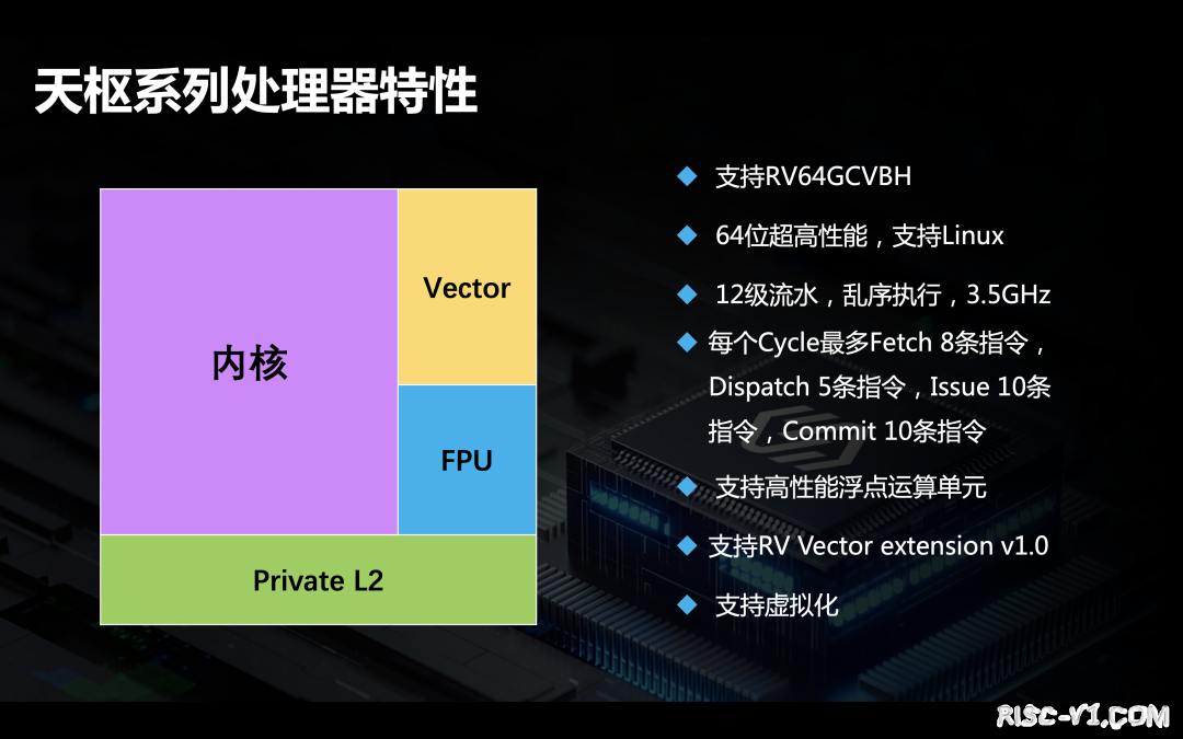 国外芯片技术交流-澎峰科技王军辉对RISC-V之见解risc-v单片机中文社区(4)