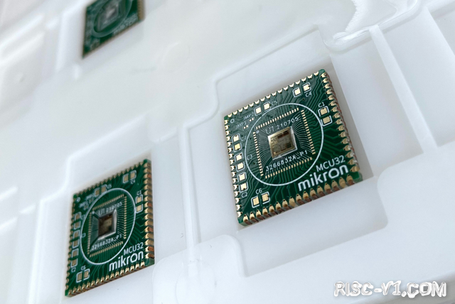 国外芯片技术交流-米克朗发布RISC-V架构国产微控制器实验批次risc-v单片机中文社区(1)