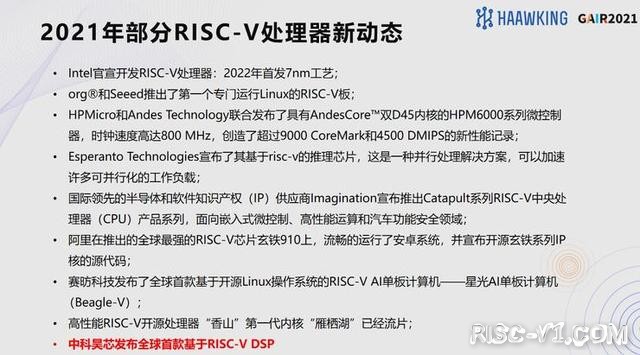 国内芯片技术交流-中科昊芯李任伟：RISC-V——破局DSP芯片自主研发的新路｜GAIR 2021risc-v单片机中文社区(2)