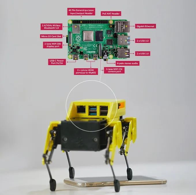 国外芯片技术交流-基于树莓派的开源微型机器狗，灵感来自斯坦福Pupper，众筹价不到600美元risc-v单片机中文社区(2)