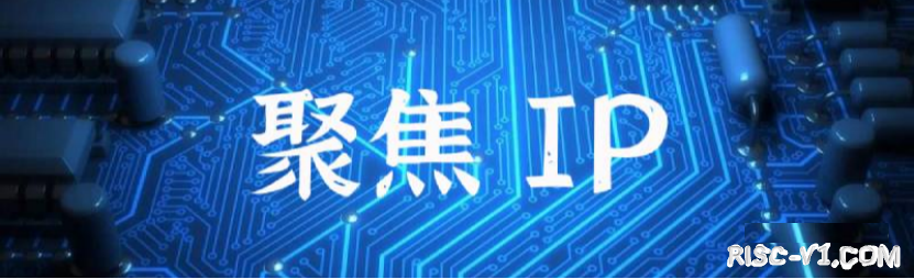 国内芯片技术交流-中国IC设计调查risc-v单片机中文社区(2)