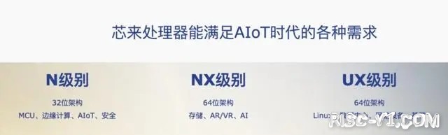 国内RISC-V应用在专用领域引领发展-02.jpg